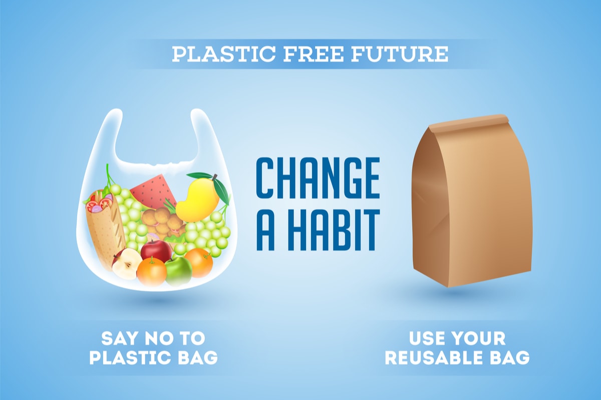 international plastic bag free day essay