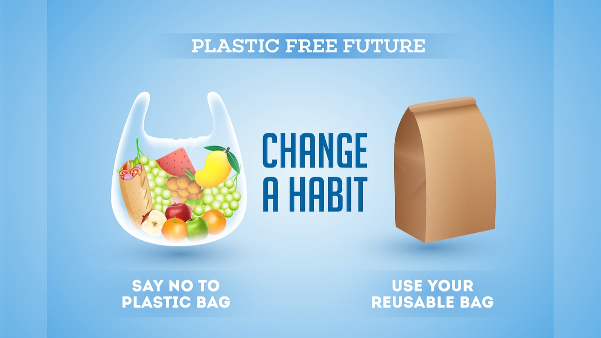 International Plastic Bag Free Day 2021: History, Significance, Quotes, Messages and Images to Share