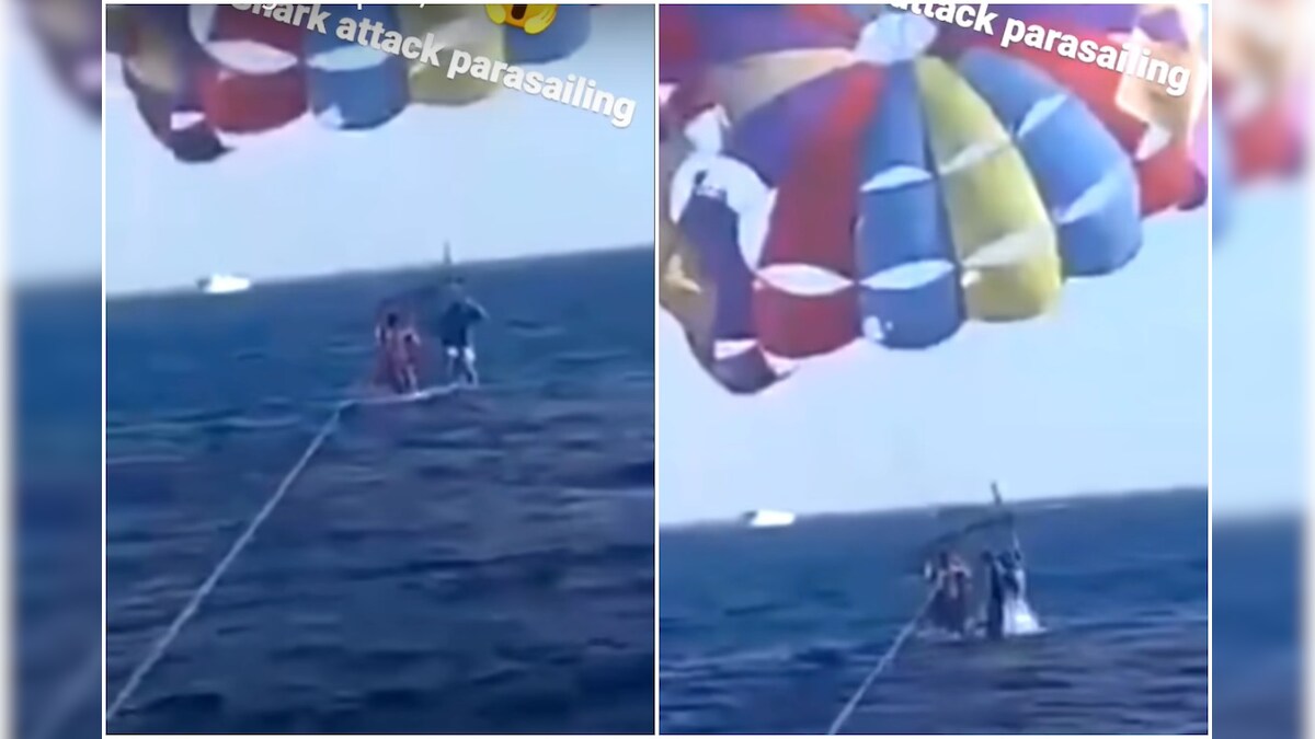 Watch: Shark Bites Off Paraglider&#039;s Foot in Viral Video, Leaves