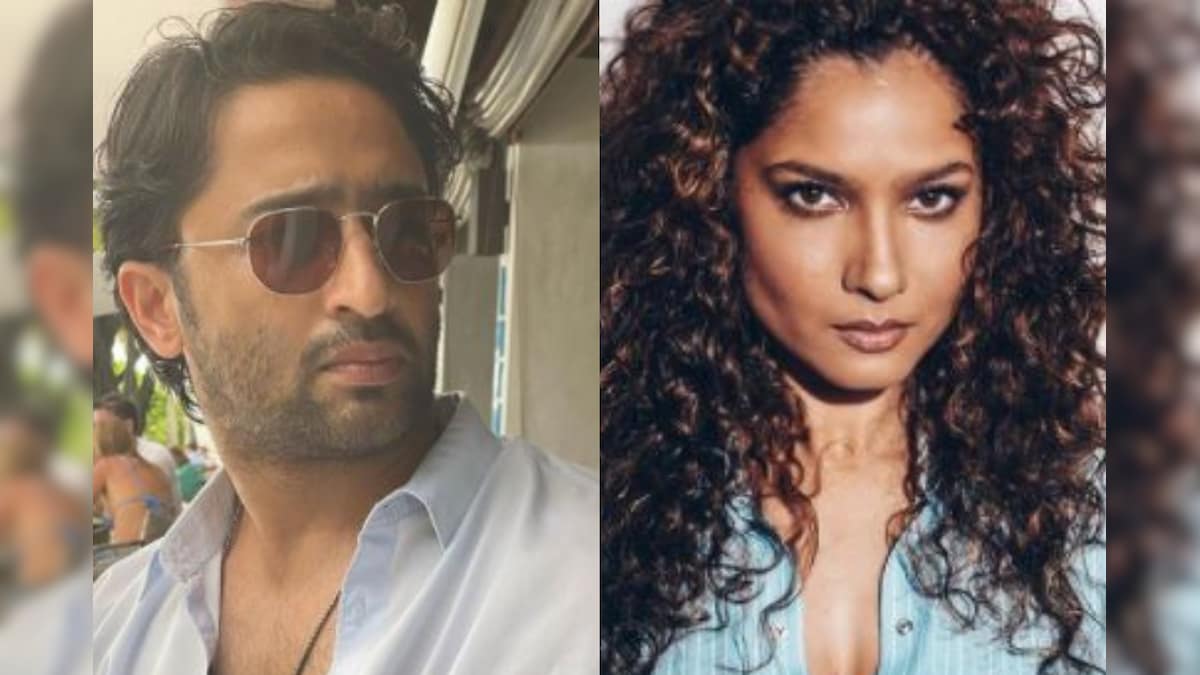 Shaheer Sheikh to Essay Manav, Ankita Lokhande Back as Archana in Pavitra Rishta 2.0