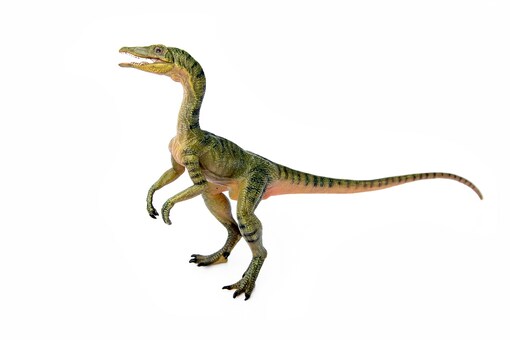 Image for representation. (Credit: Shutterstock)