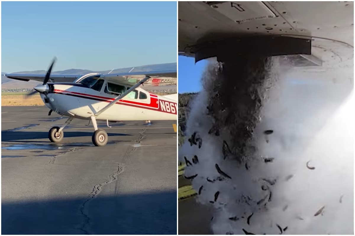 Restocking lake trout in Utah with aircraft. Between this and the tube, fish  seem to be living far more exciting lives than a lot of us. : r/WTF