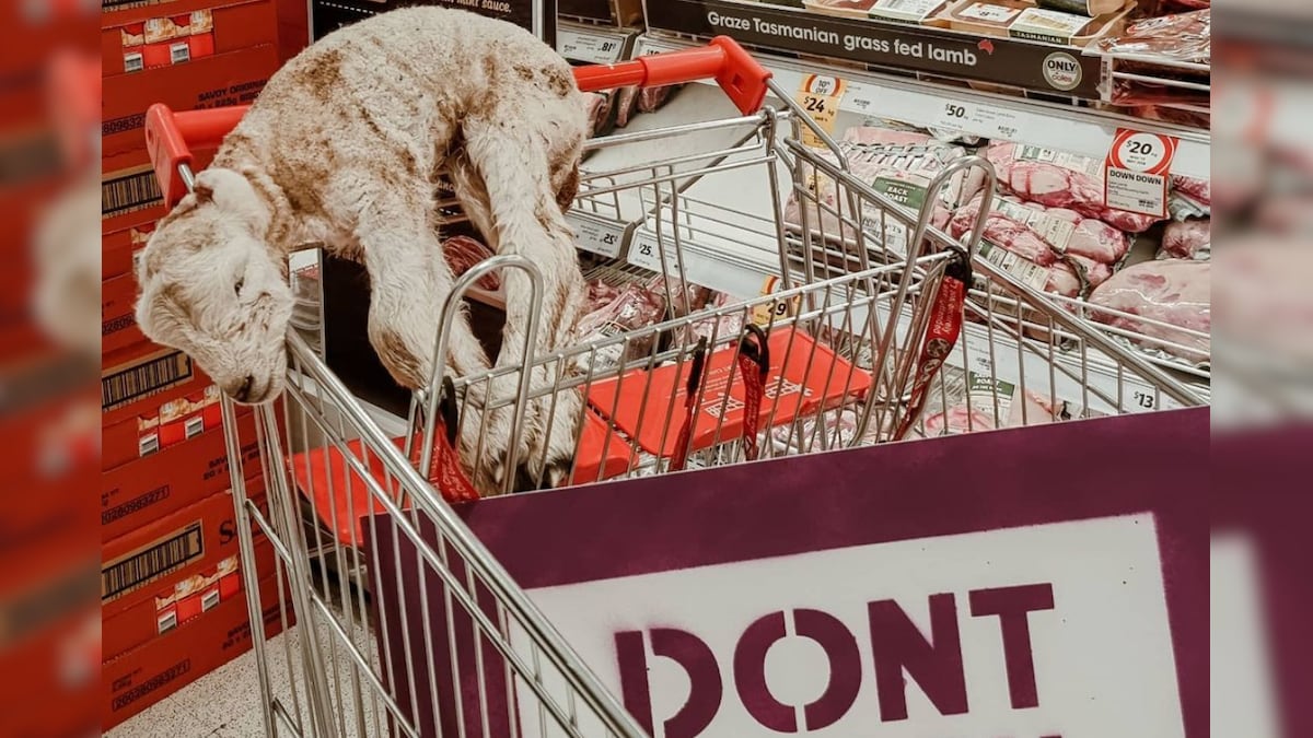 Blood-soaked vegan terrifies Australian supermarket shoppers