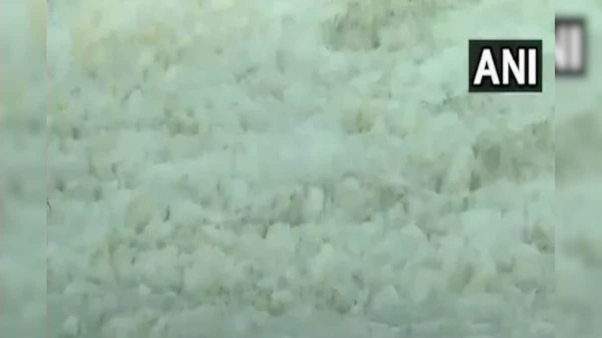 Delhi: White Toxic Foam Seen In Yamuna River Near Kalindi Kunj