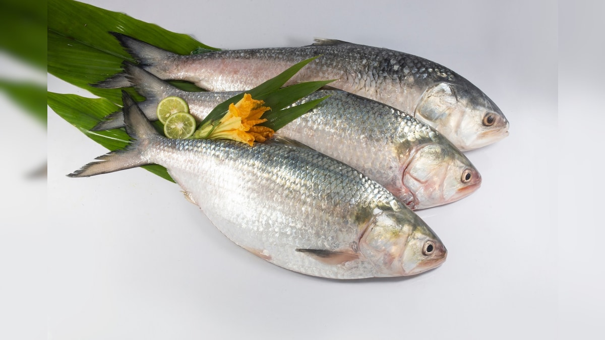 What The Fish! Godavari's Famous ‘Pulasa’ is Selling Between Rs 5k to Rs 17k Per kg News18