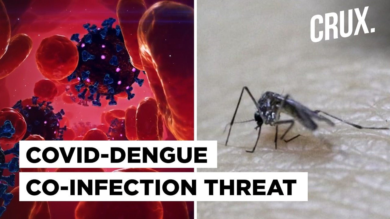 How Overlap in Covid & Dengue Symptoms Poses Fresh Challenge For ...