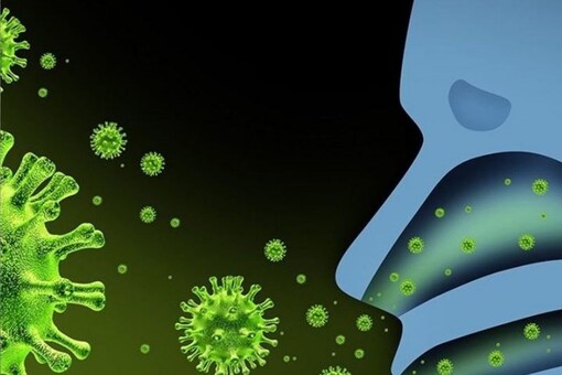 Wearing mask can help in significantly reducing the risk of catching the COVID-19 infection through air. (Representational photo/ IANS)