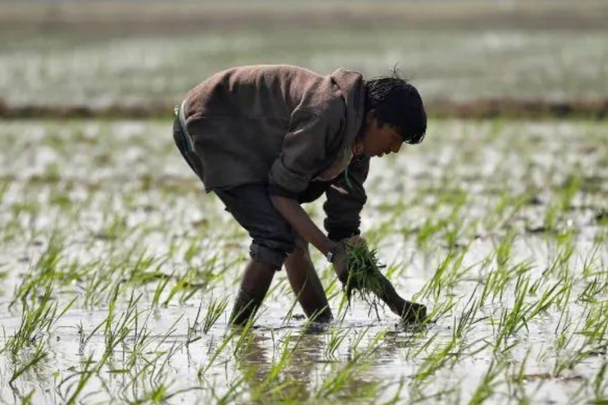 With Covid Economic Shock, Combining Tech with Traditional Farming Methods is the Way Forward