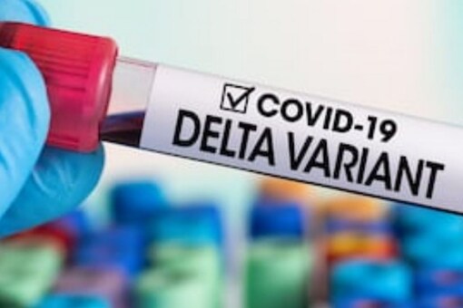 The highly contagious Delta variant, also known as B.1.617.2, was first detected in India in December and is spreading quickly across the globe.