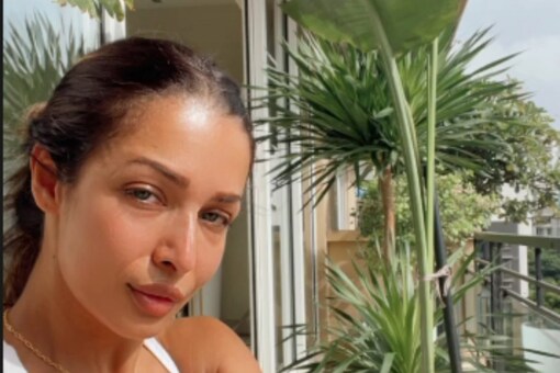 Malaika Arora's sun-kissed selfie 