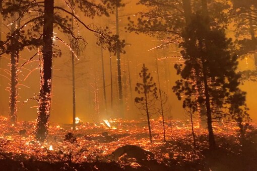 Tamarack Fire is seen in Markleeville, California, U.S., July 17, 2021, in this still image obtained from a social media video. 