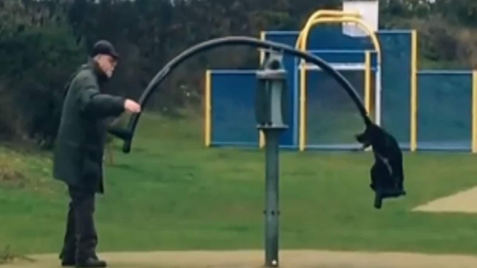 Watch: Adorable Video of Old Man Pushing His Dog on Merry-Go-Round is Pure Love