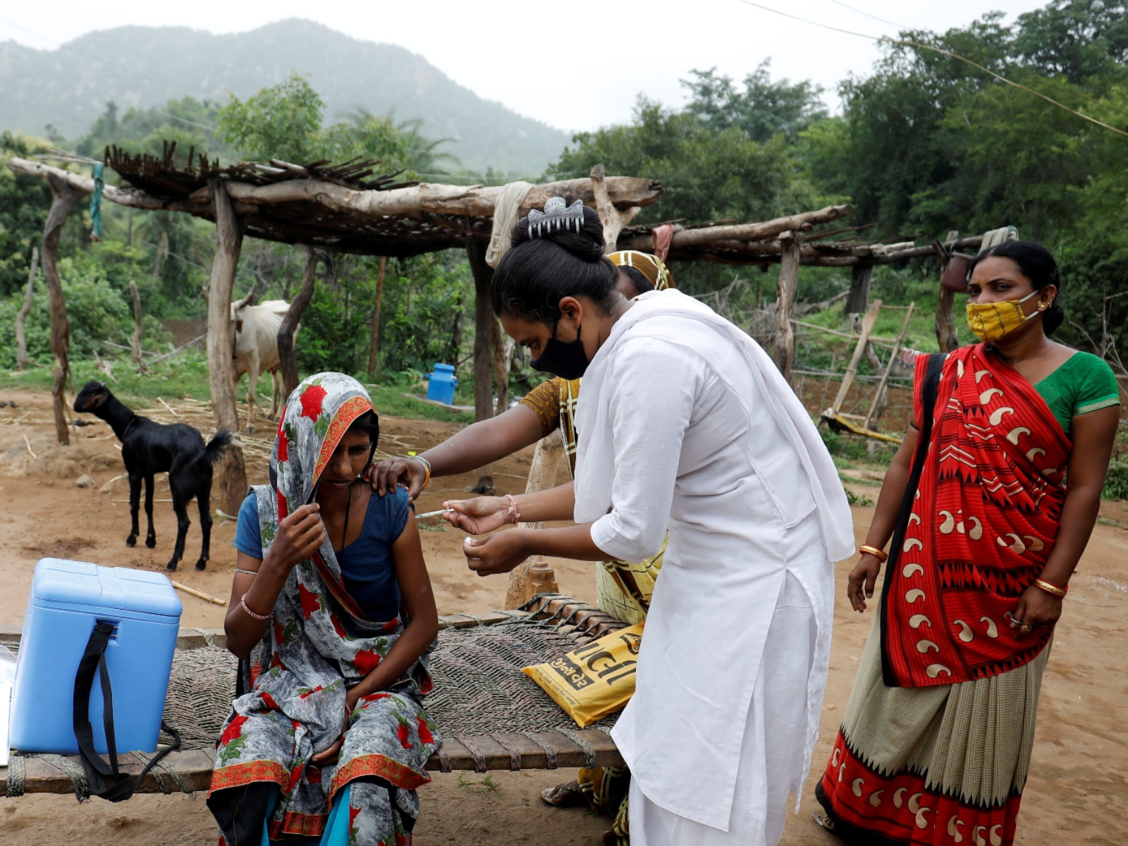 India's Vaccination Drive Takes a Rural Turn, More than 60% Inoculations in Villages: Report