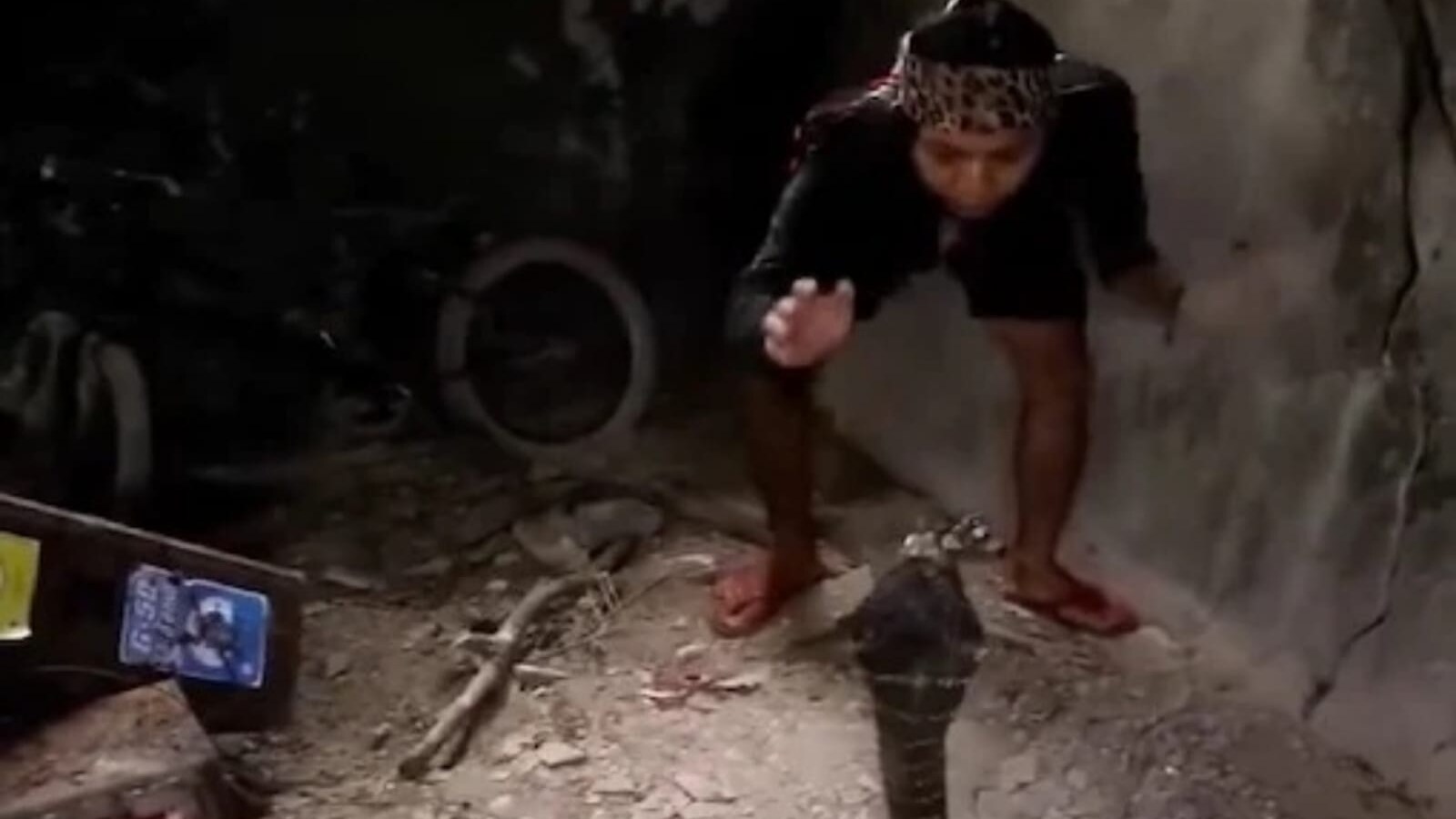 Woman Catches a Huge Snake With Bare Hands, Video Goes Viral