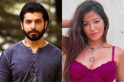 After dating for over two years, Sharad Malhotra and Pooja Bisht parted ways in 2018.