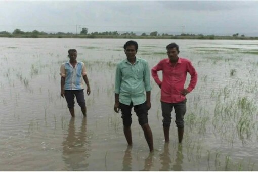 The farmers lost their crops to excess rains, flooding and similar natural calamities. (News18)