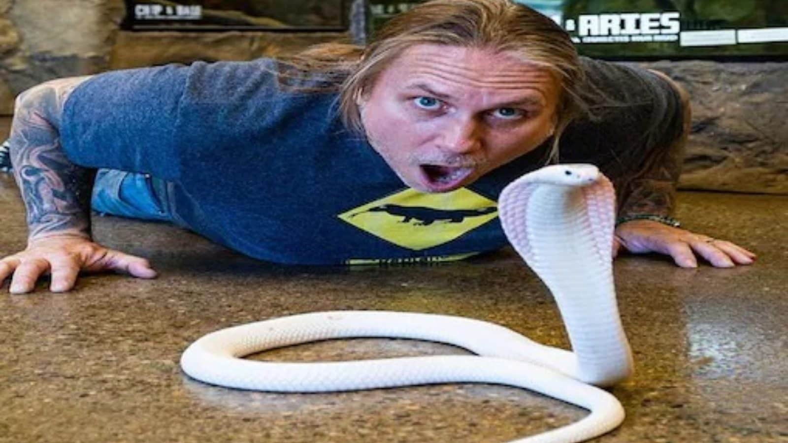 WATCH Man Plays With Giant Snakes, Video Goes Viral