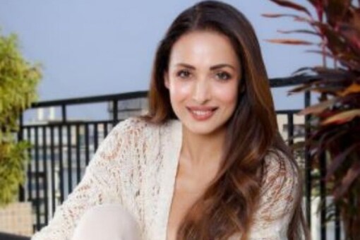 Malaika Arora shared a gorgeous picture.