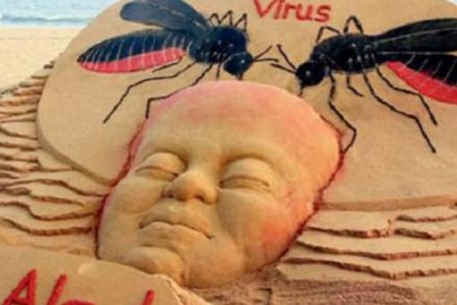 Zika Virus Spreads Wings in Kerala, Maharashtra: Link to Coronavirus, Symptoms Explained as Cases Rise