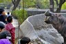 Delhi Zoo Reopens After Being Temporarily Shut During Second Covid Wave