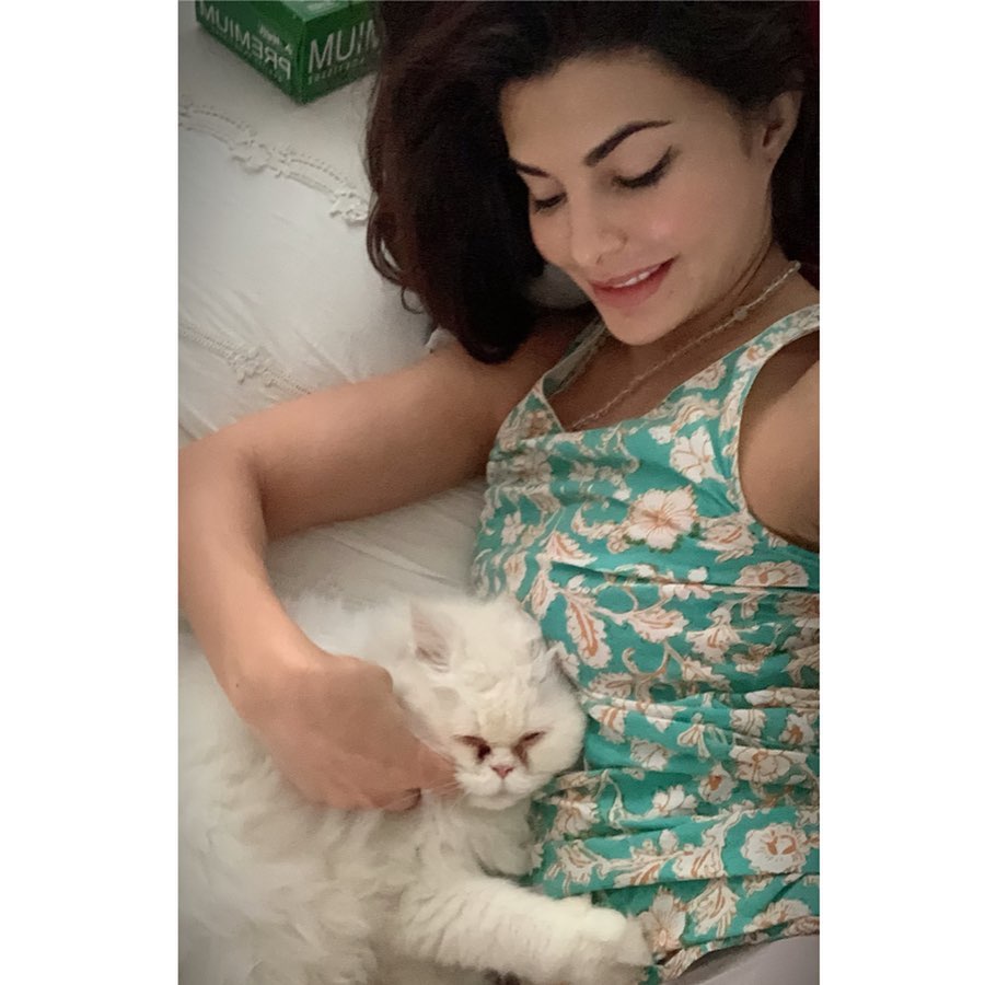 Jacqueline Fernandez poses with her cat in a floral dress.