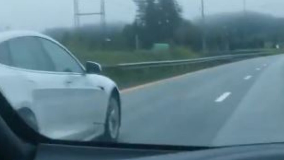 Watch Tesla Autopilot Saves Drunk Drivers Life In Norway News18