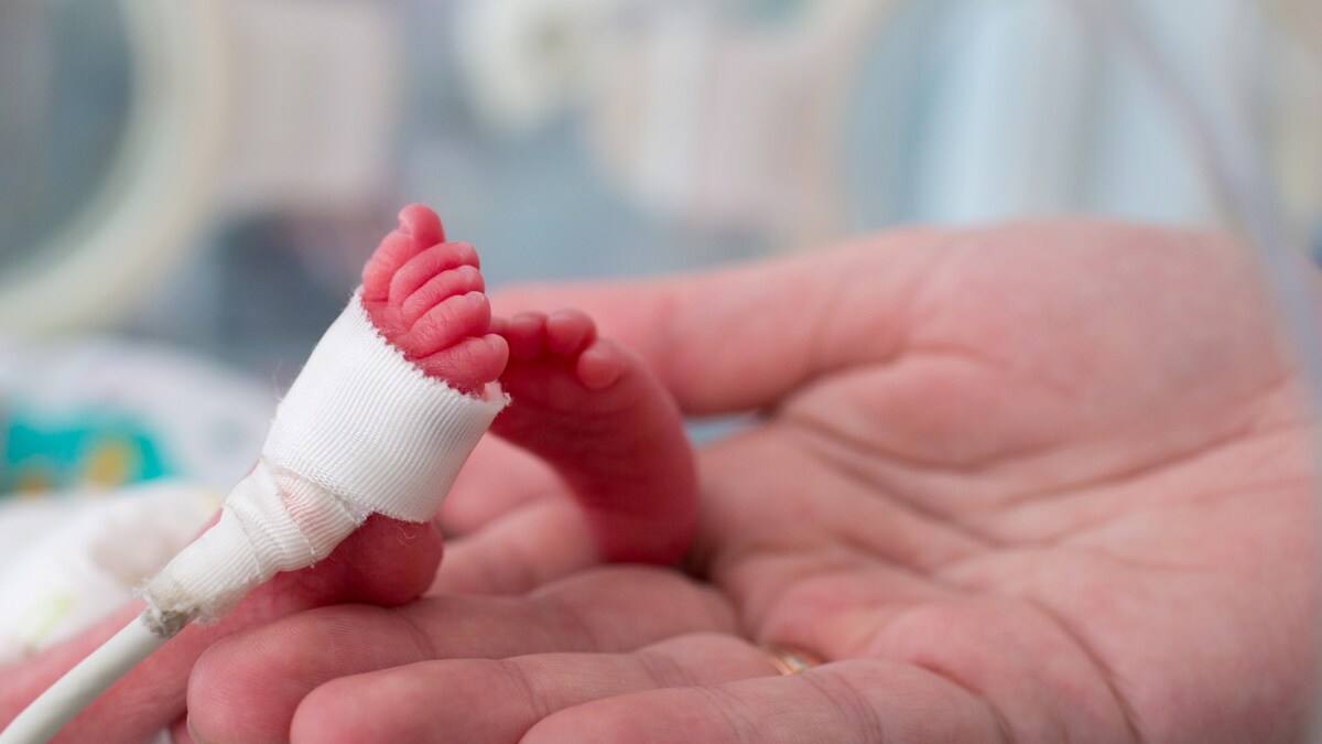 Covid 19 During Pregnancy Can Increase The Risk Of Premature Birth By