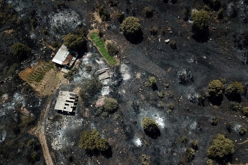 Fall Fireturkey Turkey Wildfires: Thousands Evacuated as Country Battles for Sixth Day ...