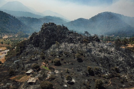Fall Fireturkey Turkey Wildfires: Thousands Evacuated as Country Battles for Sixth Day ...