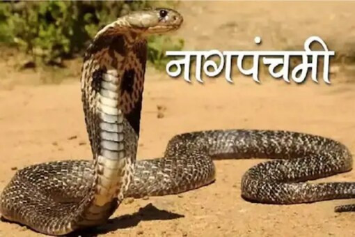 The holy texts instruct all believers to worship him (Nag Devta), especially on this day. 