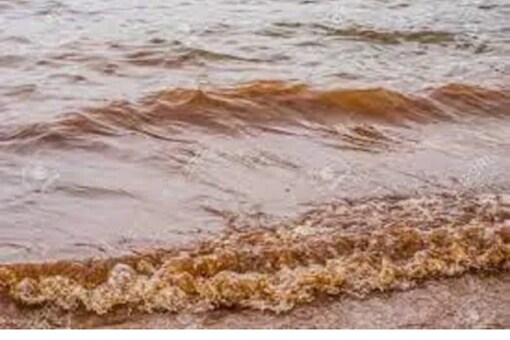 Water quality is measured through nephelometric turbidity units (NTU).