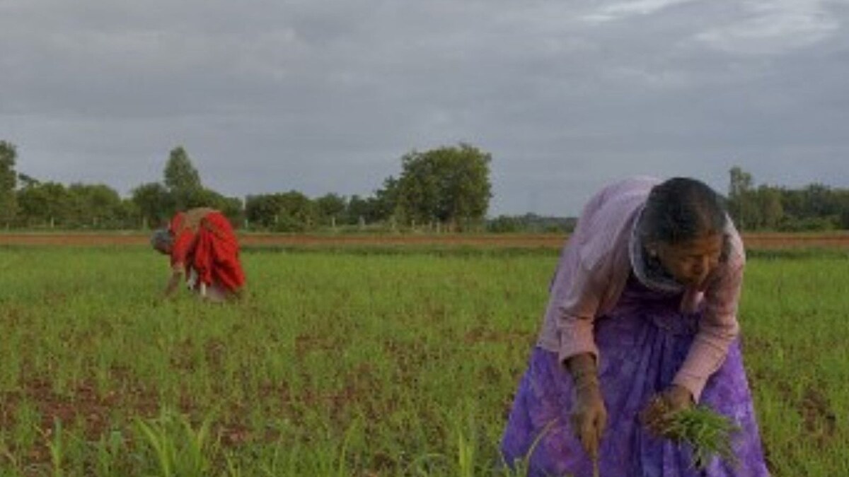 Record 17 Lakh Hectares Affected by Rains, Floods This Year, Says Maharashtra Minister