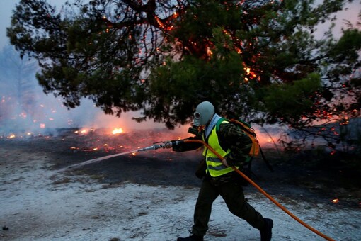 The pilot is safe and sound and was helped by other firefighters, the ANA news agency reported. (Image for representation only: Reuters)