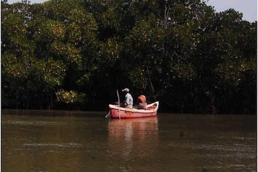 The Irulas, who used to fish exclusively by hand earlier, have now been trained to use boats and traps. (Image: Malini Shankar) 
