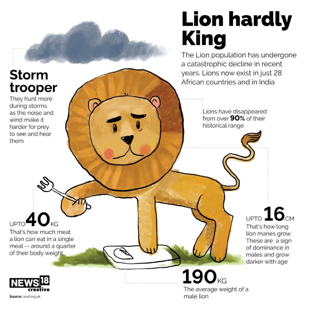 World Lion Day 2021: History and Significance - News18