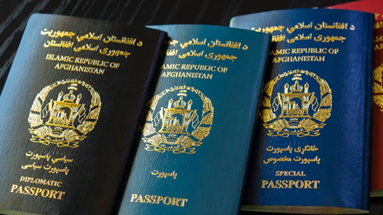 EXCLUSIVE Afghan Passports With Indian Visas Stolen in Kabul by
