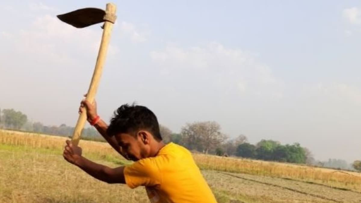 Orphaned Due to Pandemic, These Kids May Now Have to Abandon Their Education