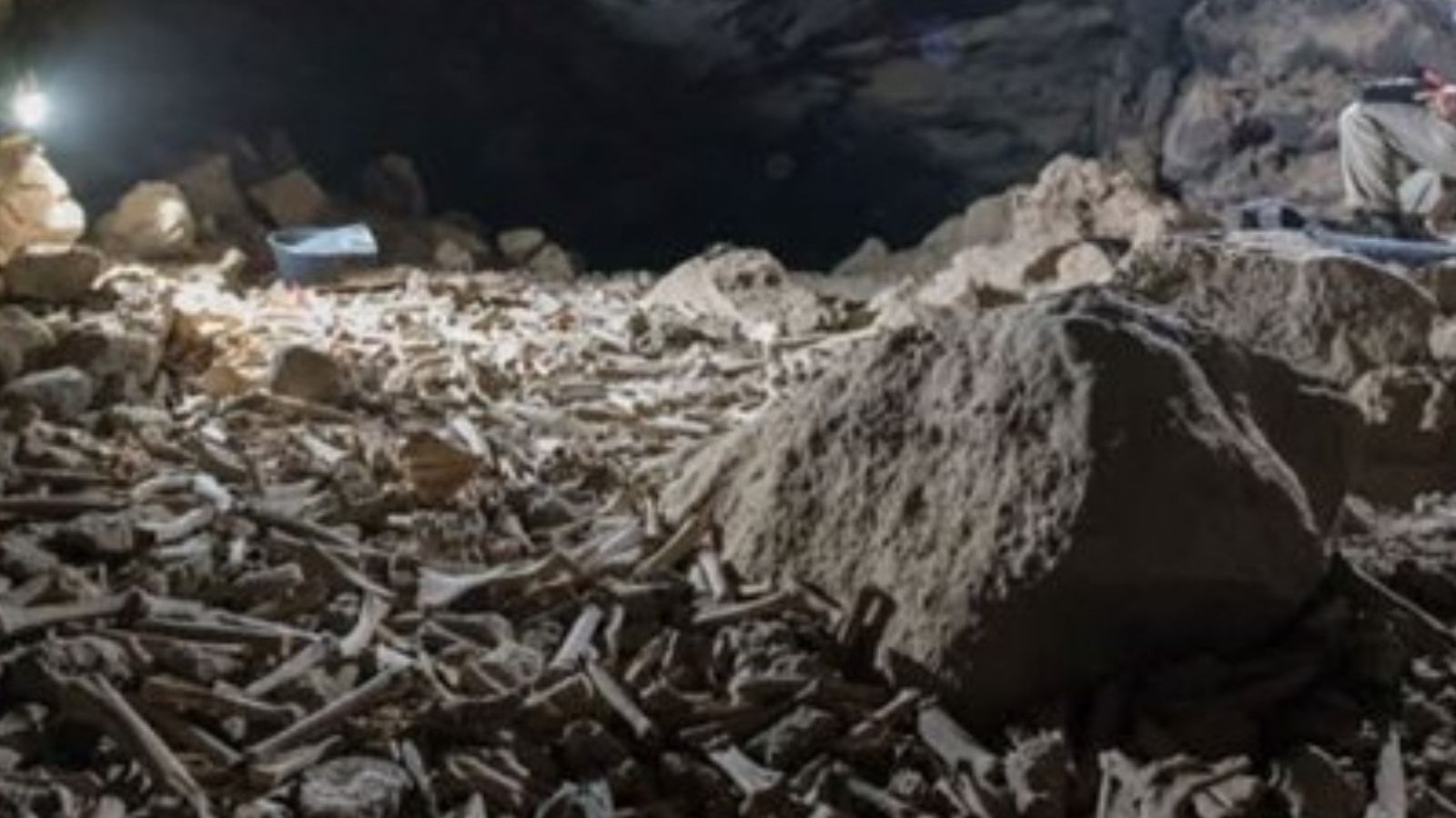 علماء الآثار يعثرون على عظام بطول 1.5 كيلومتر في كهف السعودية