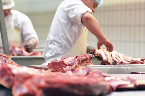 The law will prohibit a person from slaughtering cattle unless he has obtained the necessary certificate. (Image for representation/ Shutterstock)
