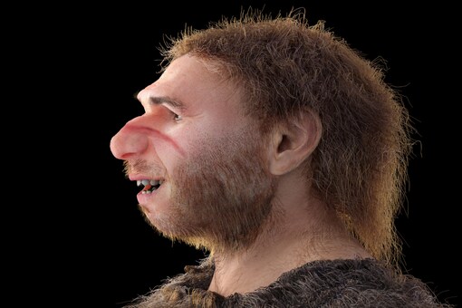 The study has revealed that the Negritos came into contact with the Denisovans. (Image Credits: Shutterstock/Representational)