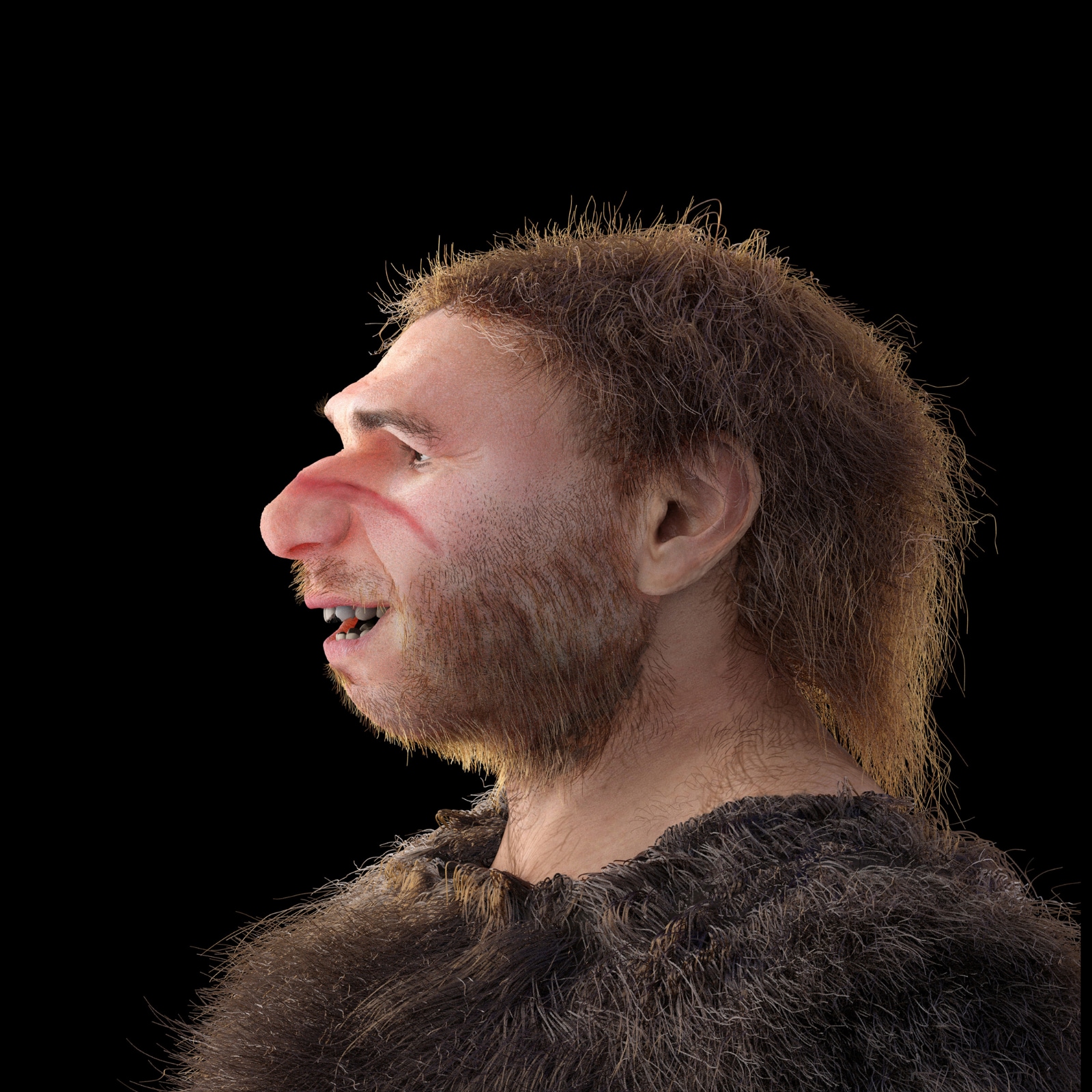 Denisovan Face