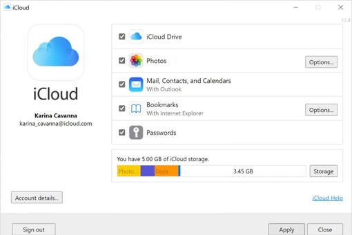 iCloud for Windows Password Managers is part of iCloud for Windows version 12.5.  (image credit: Apple)
