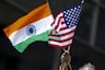 India Looks to Work with US on Market Access Issues: Piyush Goyal