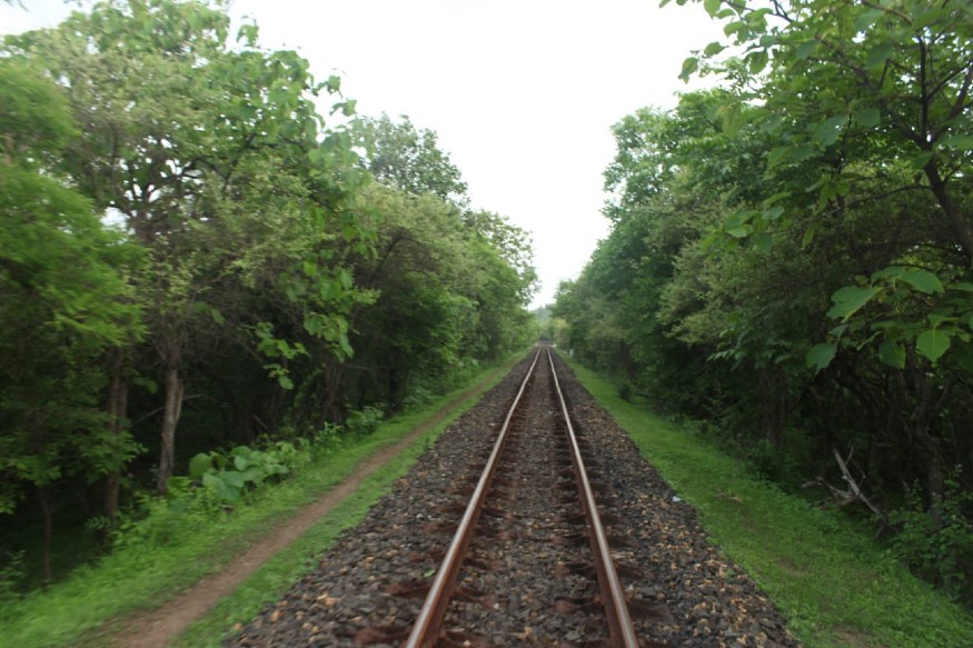 In Pictures The Beauty of Monsoon in Gujarat Through the Lens of