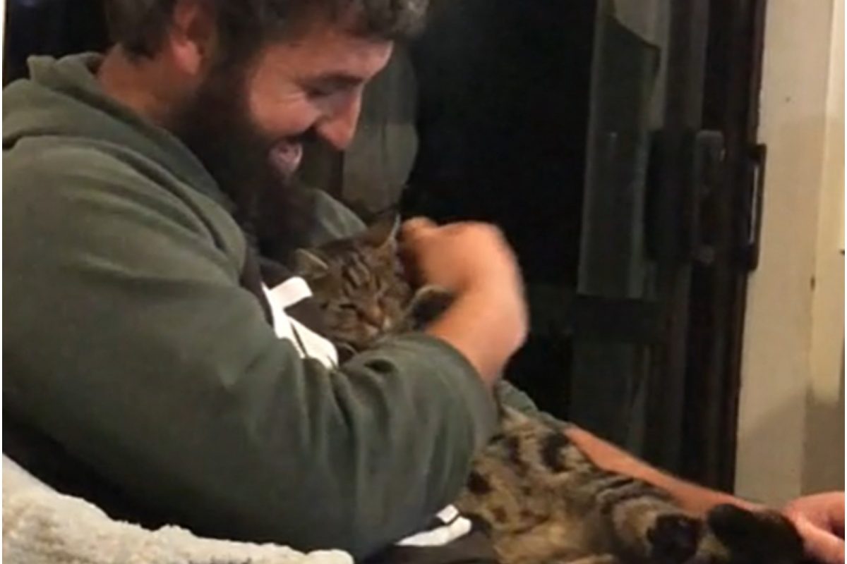 WATCH: This is What Happens When a Stray Cat Decides to 'Adopt' a Human