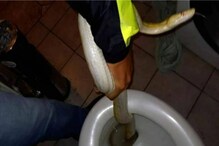 Austrian Man Hears Toilet Flushing on its Own, Finds Six-Foot Snake Inside