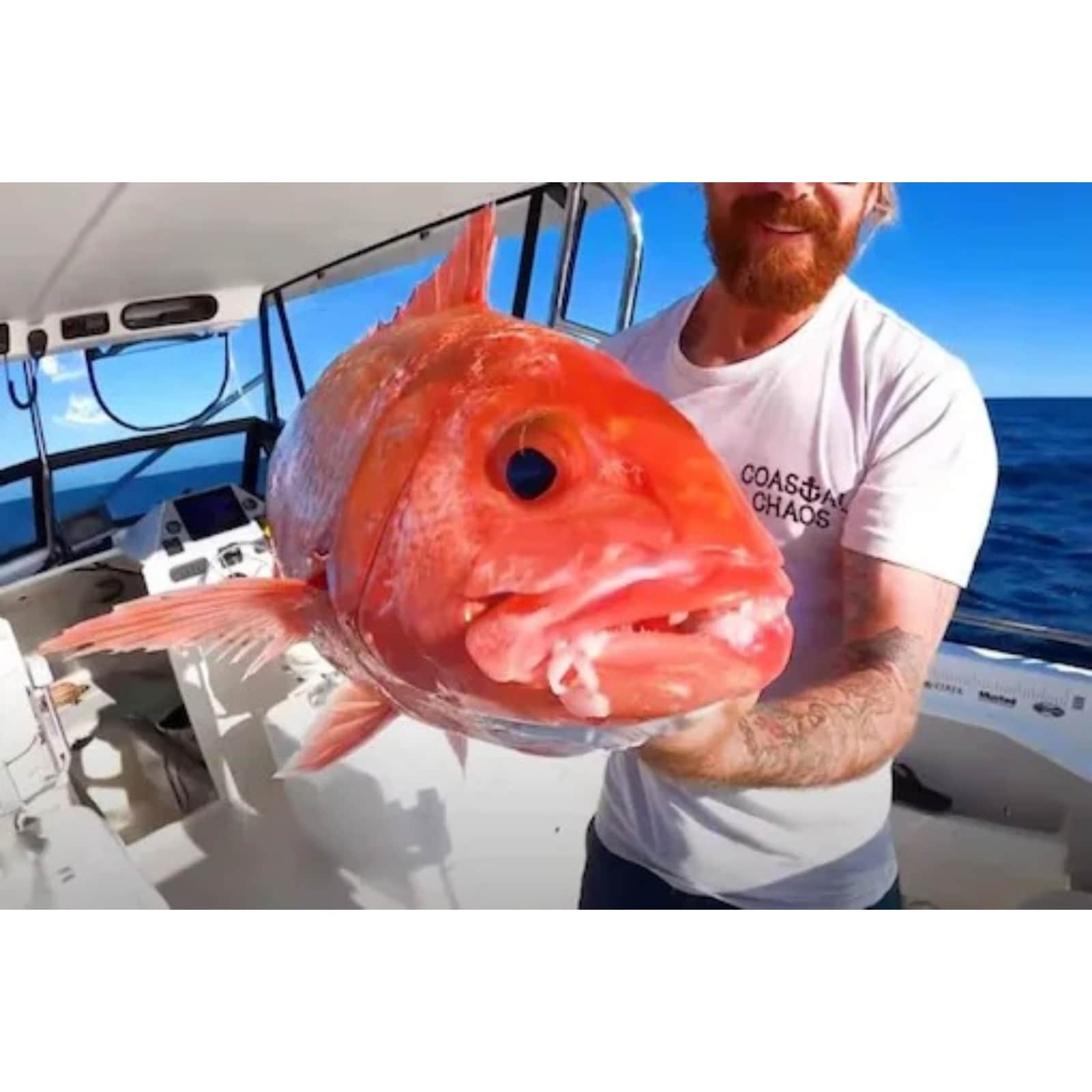 Australian Fisherman Catches Giant Fish, Expert Says Its 'Japanese Rubyfish'