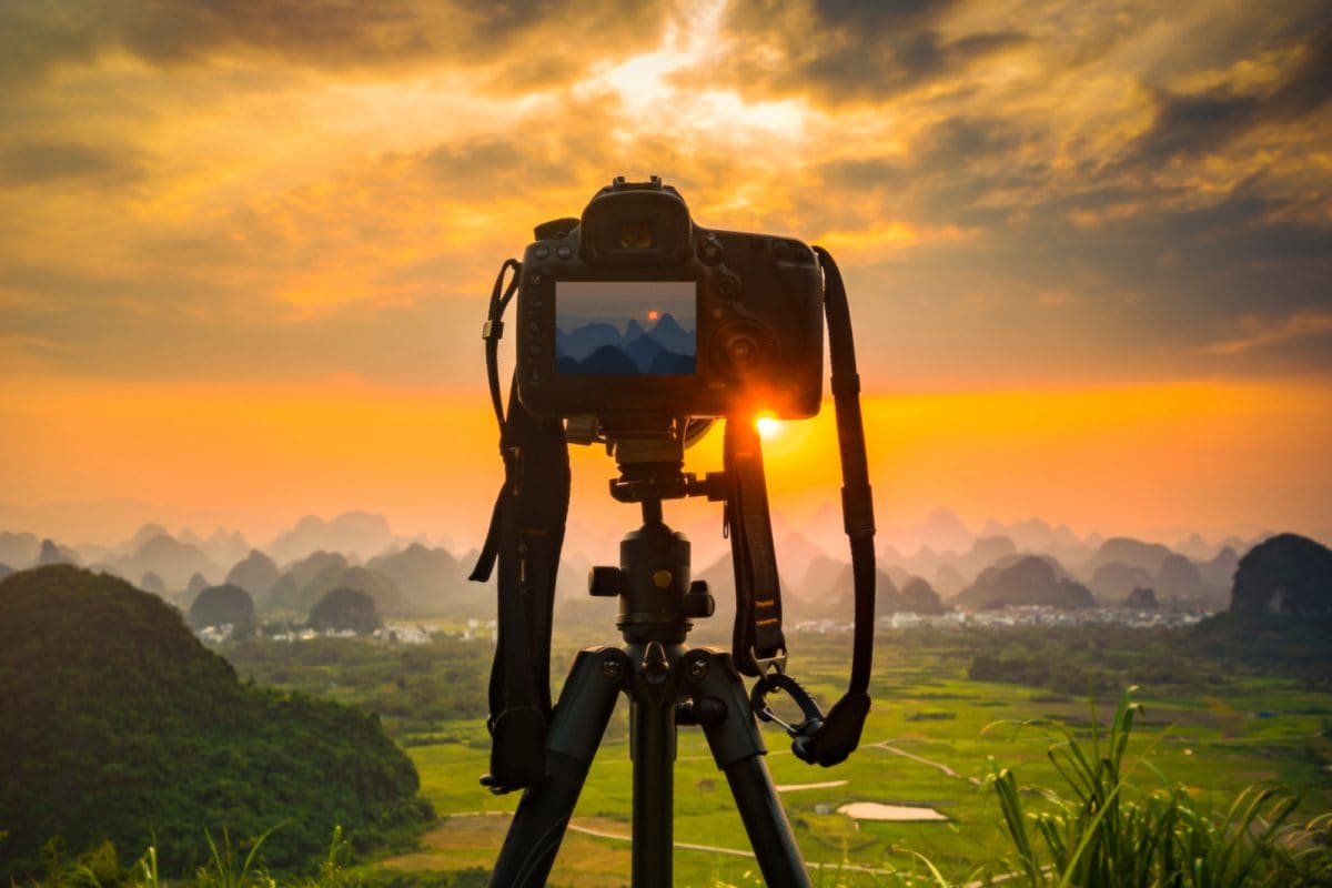 World Photography Day 2021: 5 Effective Ways to Become a Better ...