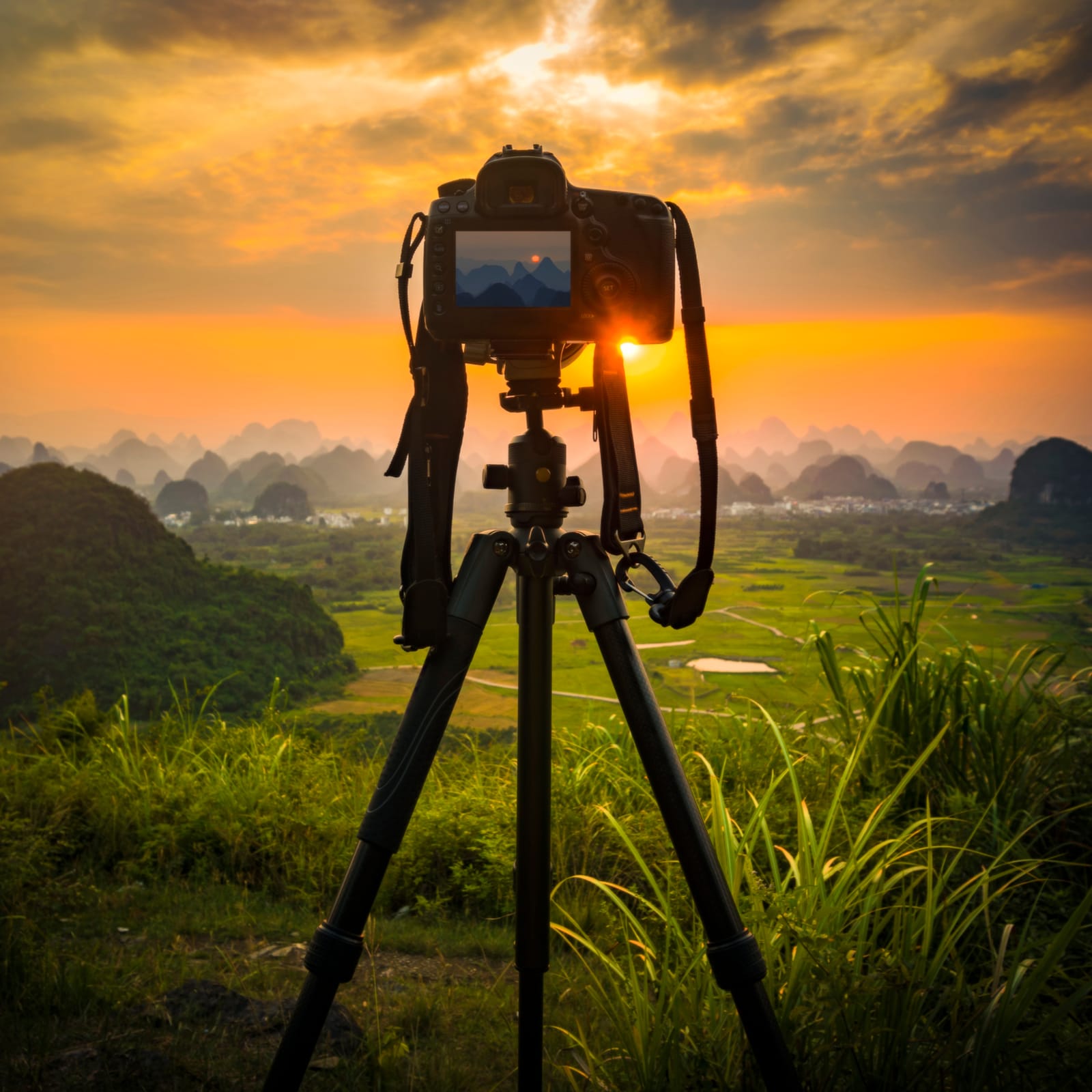 World Photography Day 2021: 5 Effective Ways to Become a Better Photographer