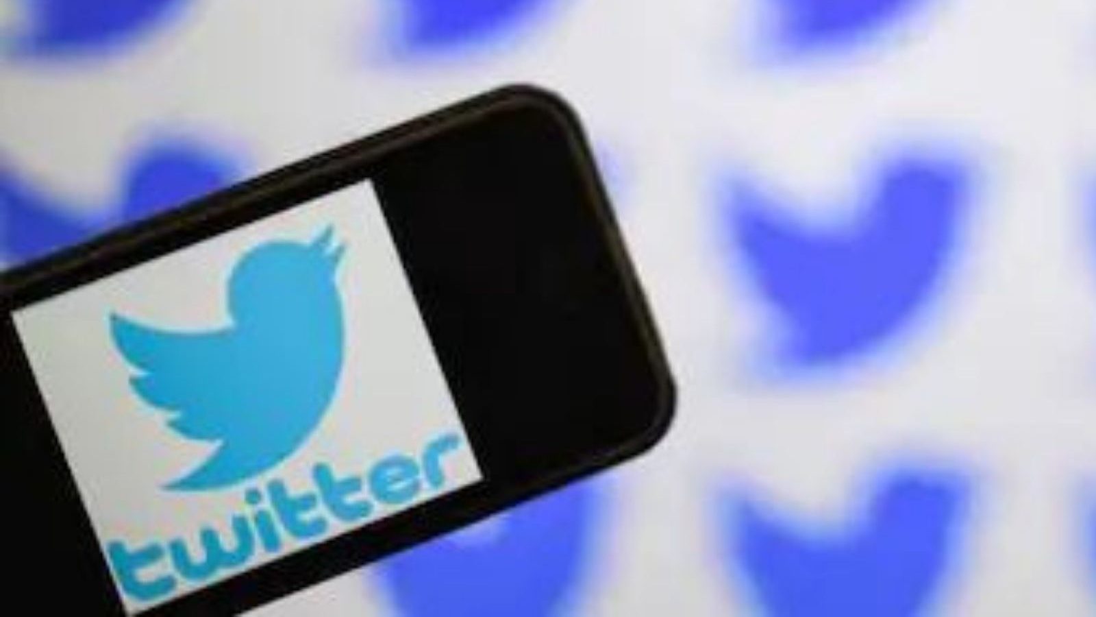 Twitter Pauses Account Verification Programme As System Verifies ...
